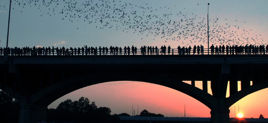 Beyond being a hub for bats, Austin, Texas, attracts plenty of career-minded college grads, too.