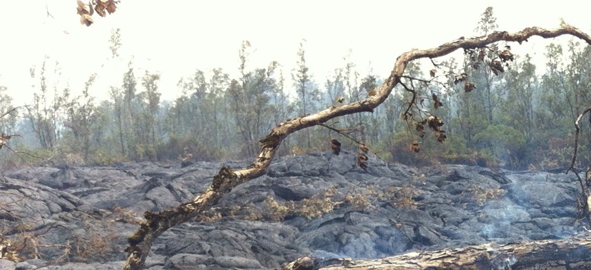 The lava flow near Pahoa, as seen on Nov. 11. 