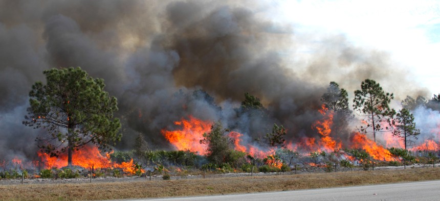 An example of a controlled burn in Central Florida.