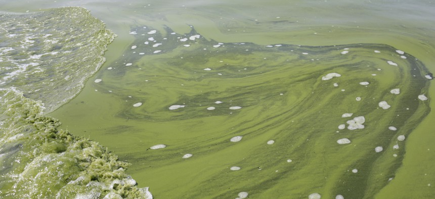 This Aug. 3, 2014 file photo shows Algae near the City of Toledo water intake crib, in Lake Erie, about 2.5 miles off the shore of Curtice, Ohio.