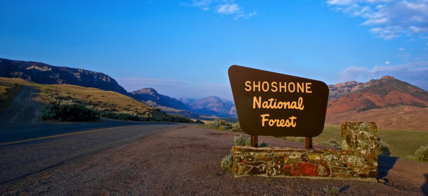 The Shoshone National Forest in Wyoming.