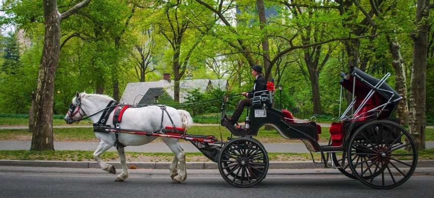 A horse carriage in Central Park