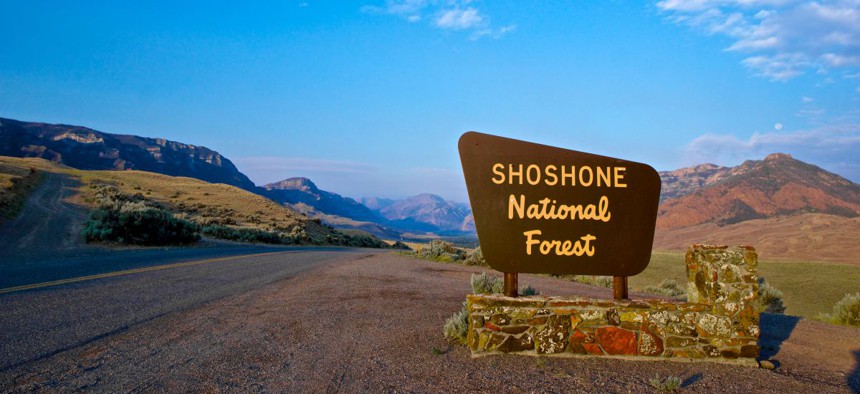 Shoshone National Forest in Wyoming
