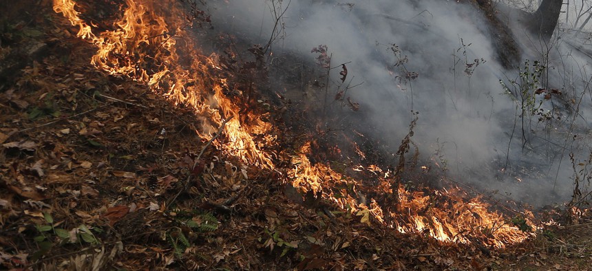Tennessee, North Carolina and Georgia are among the Southeastern states that have been impacted by wildfires this fall.