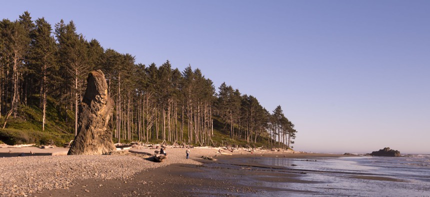 Rudy Beach on the coast of Washington state.
