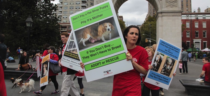 People Against Commercial Kennels, PACK, marched through the West Village to rally in Washington Square against puppy mills & pet stores that sell the offspring.
