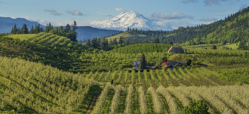 The Hood River valley in Oregon is a top producer of apples, pears, and cherries.