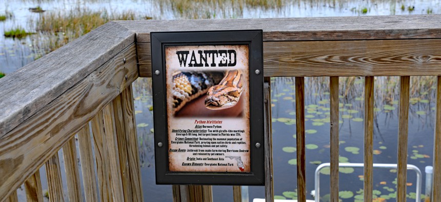A python bounty sign posted at the in Grassy Waters Natural Area in Palm Beach Gardens, Florida