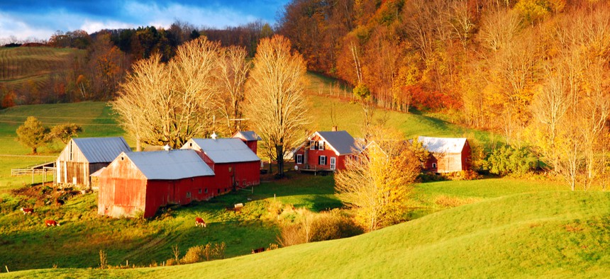 A group of red barns, just outside of Reading, Vermont