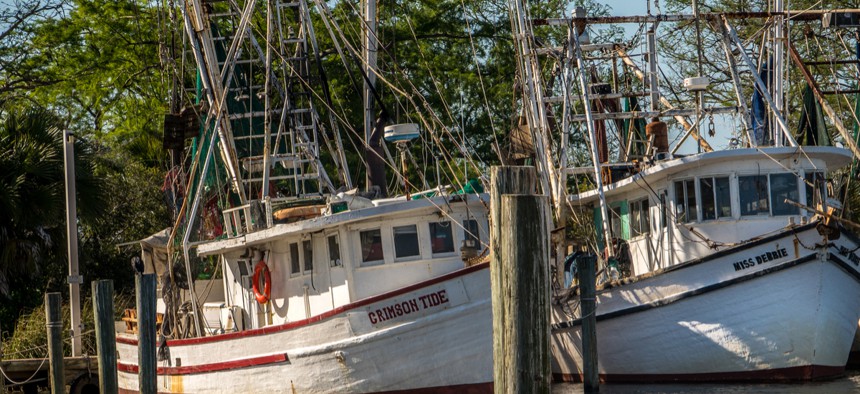 Shrimp boats in Apalachicola Bay in March 2018. 