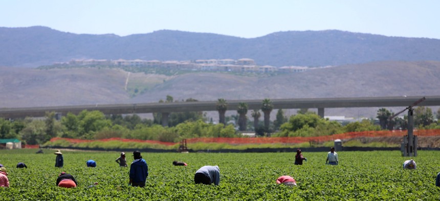 Seasonal farm workers, many of them immigrants, work a field and pick and package strawberries in Lake Forest, California.