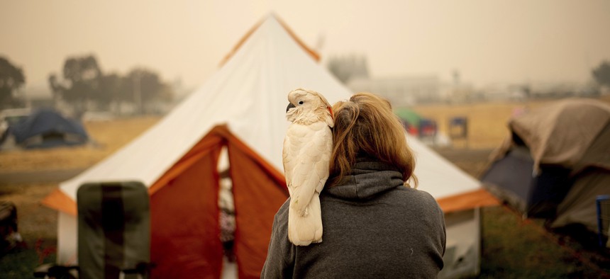 Suzanne Kaksonen, an evacuee of the Camp Fire, and her cockatoo Buddy camp at a makeshift shelter outside a Walmart store in Chico, Calif.