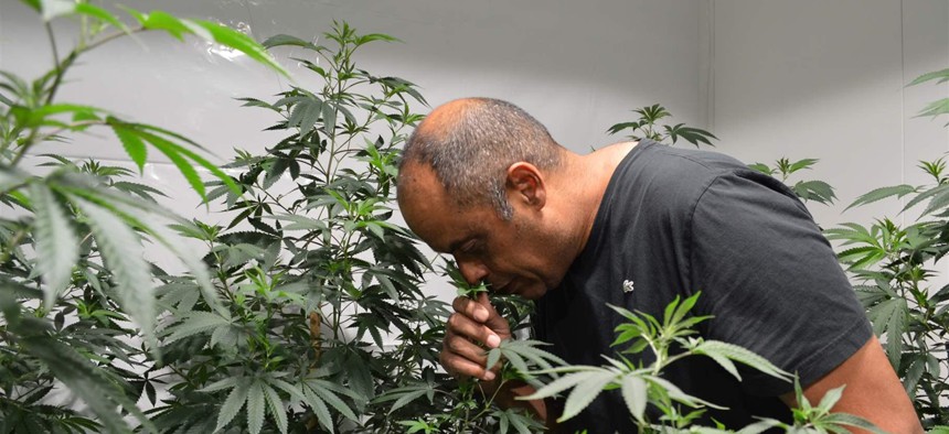 Alexis Bronson smells one of his latest cannabis “clone” plants, a specialty strain. Bronson is a participant in Oakland, California’s “pot equity” program, but he says the program so far has failed to deliver on many of its promises. 