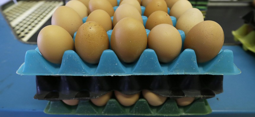 Eggs laid by cage-free chickens sit in a holder after being sorted by Francis Blake on his organic farm, Wednesday, Oct. 21, 2015, near Waukon, Iowa. 