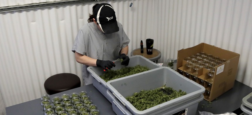 In this Friday, March 22, 2019 photo, Paige Dellafave-DeRosa, a processing supervisor at Compassionate Care Foundation's medical marijuana dispensary in Egg Harbor Township, N.J., sorts marijuana buds. 