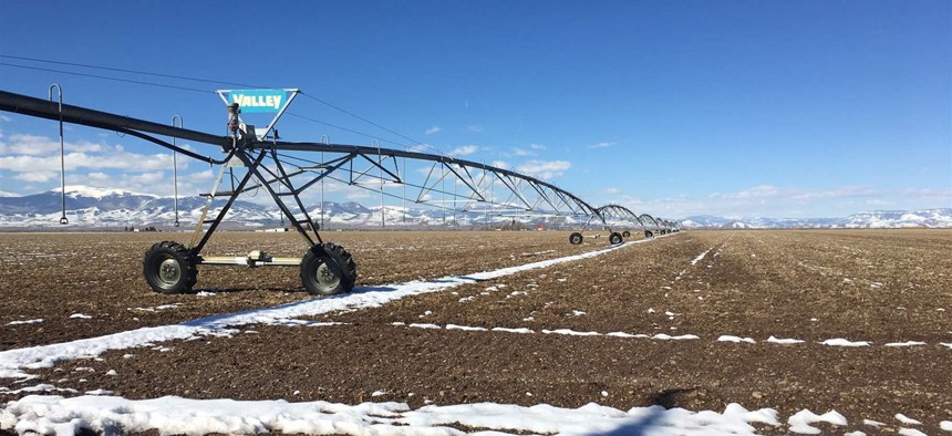 An irrigation pivot circle at Elliott Farms in Rio Grande County, Colorado. Farms and ranches in the valley rely on river and aquifer water, but both sources are overstretched and threatened by climate change.