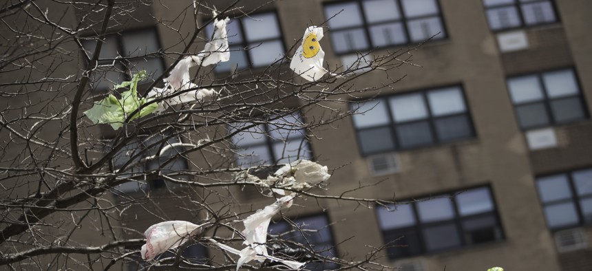 Plastic bags are tangled in the branches of a tree in New York City's East Village neighborhood.