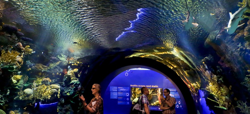 Visitors walk through an immersive underwater tunnel that features a coral reef ecosystem with sharks at the New York Aquarium.