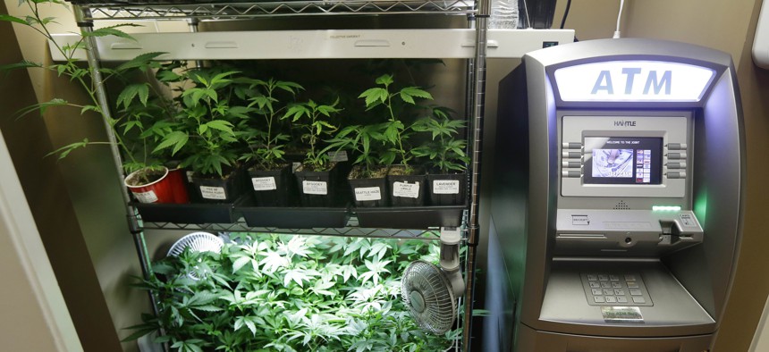 An ATM sits next to a rack of marijuana clone plants that are used to grow medical marijuana, Wednesday, Oct. 16, 2013, at The Joint, a medical marijuana cooperative in Seattle.