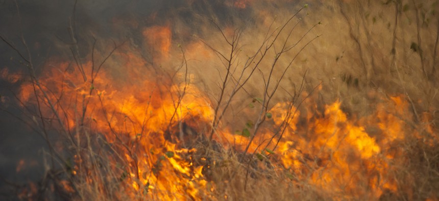 Wildfires are more likely due to invasive grass species.