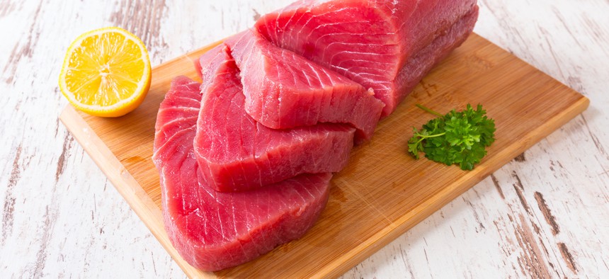 Because of their diet, tuna tend to accumulate mercury in their bodies.