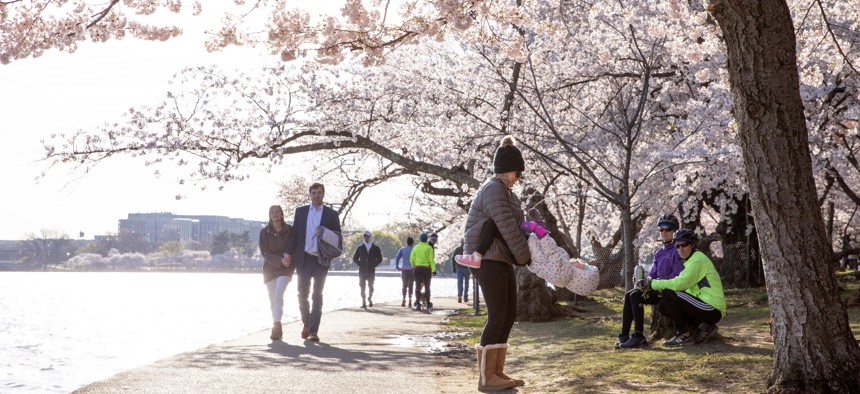 Crowds gathered around the cherry blossoms at the Tidal Basin in Washington, D.C. this weekend, prompting some to call on the National Parks Service to close the Tidal Basin for the duration of cherry blossom season.