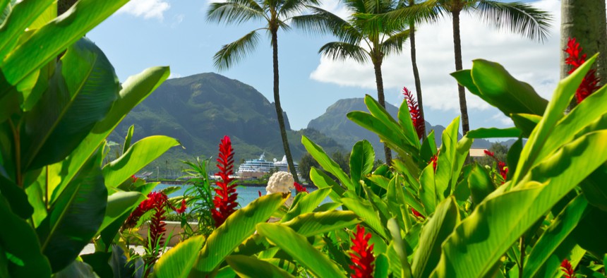 The Kauai Visitors Bureau contributed to airfare to return three of the travelers to the mainland.