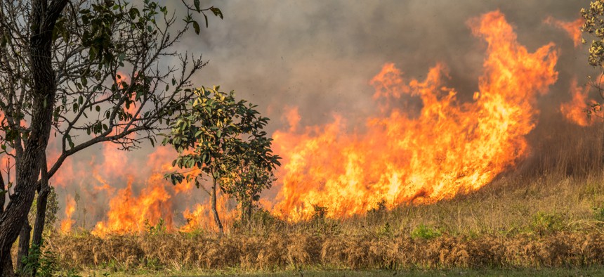 Assuming both climate change and poor environmental management share culpability for the blazes, it might seem reasonable to ask: Which deserves more blame?