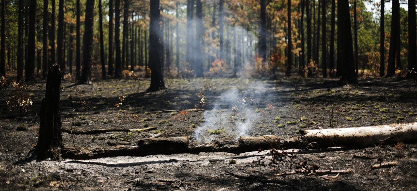 In this July 30, 2019 photo, smoke rises from a log a few days after a prescribed burn in a long leaf pine forest at Fort Bragg in North Carolina. 