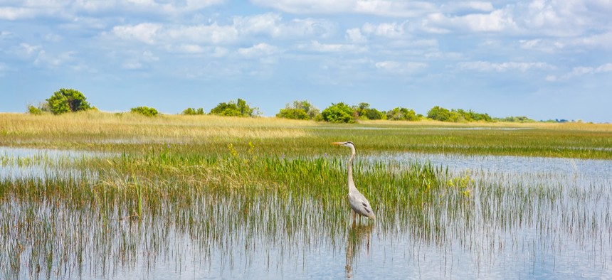 Florida has more wetlands than any of the other 47 contiguous state.