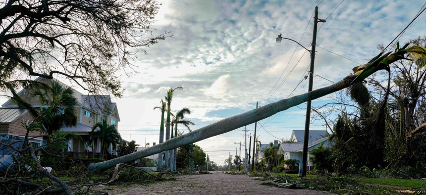 A tree fell on the road due to winds from Hurricane Ian on September 29, 2022 in downtown Punta Gorda, Florida, United States. The storm has caused widespread power outages and flash flooding in Central Florida as it crossed through the state after making landfall in the Fort Myers area as a Category 4 hurricane. 