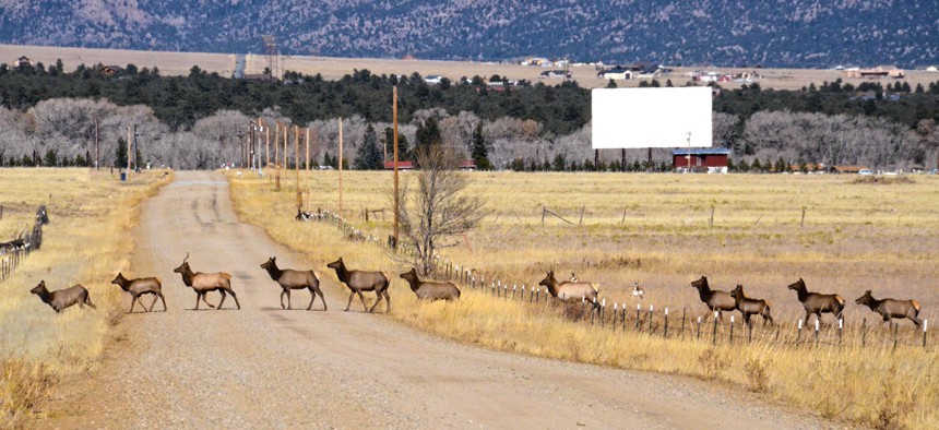 Migrating elk cross over private land.