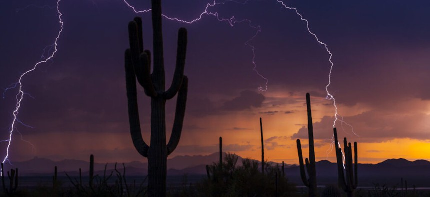 Lightning during a monsoon storm in southern Arizona, Saguaro National Park. 