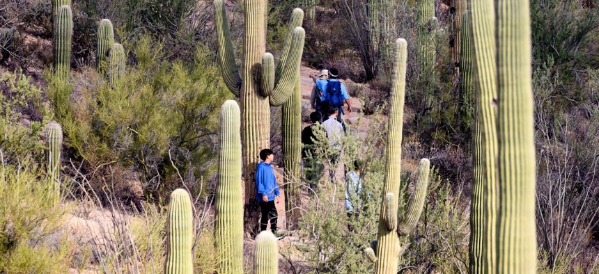 Hikers walk along a trail in Saguaro National Park near Tucson, Arizona on November 19, 2023. 