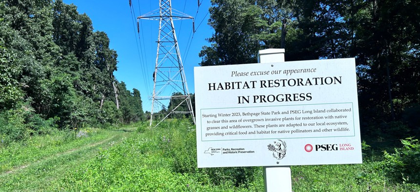 Habitat Restoration in Progress, Bethpage state park, sign near electrical pylon and fields, Bethpage, Long Island, New York. 
