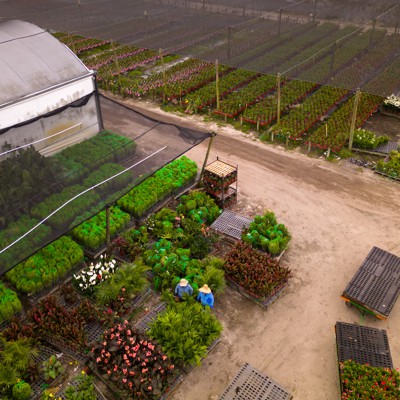 Robotics, AI the answer to dwindling labor population, researcher says