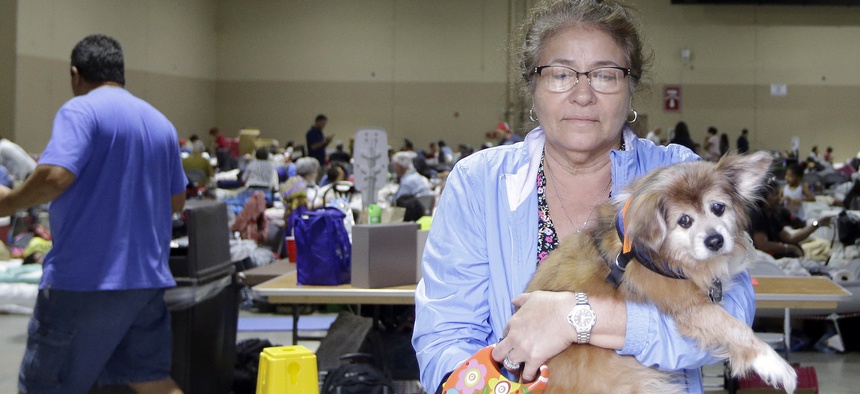 Lilliam Garay carries her pet Michael out for a walk at the Miami-Dade County Fair and Exhibition at Tamiami Park, a pet friendly hurricane shelter, Saturday, Sept. 9, 2017, in Miami, as Hurricane Irma approaches Florida.