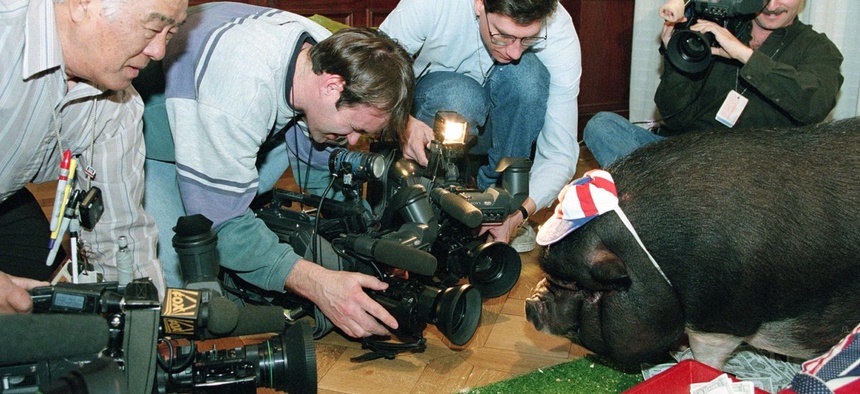 Photographers gather around "Porky" the pig during a news conference held by the Citizens Against Government Waste in Washington, D.C., Wednesday, Feb. 15, 1995.