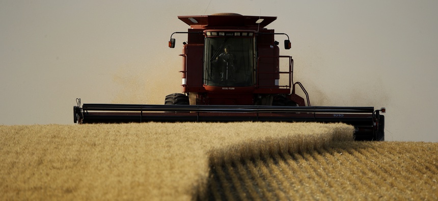 In this June 15, 2018 photo, winter wheat is harvested in a field farmed by Dalton and Carson North near McCracken, Kan.