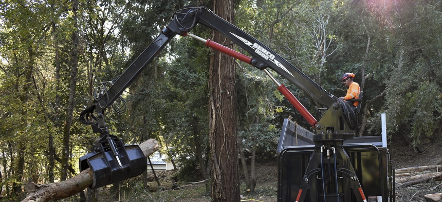 An employee of ArborWorks loads eucalyptus logs onto a truck after a stand of the highly-flammable trees was removed as part of wildfire prevention efforts on Nov. 20, 2019, near Holy City, Calif.
