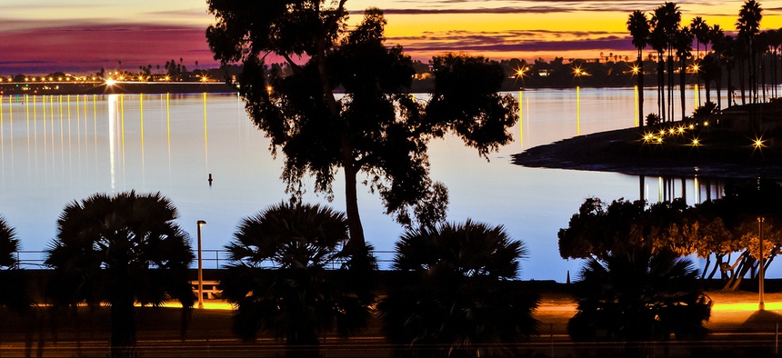 San Diego signed a tree trimming contract, but an auditor found the city didn't have a way to monitor whether the contractor was meeting its goal.