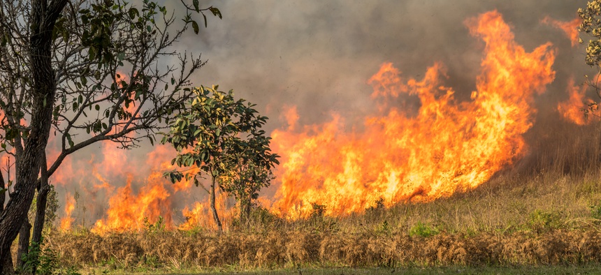Assuming both climate change and poor environmental management share culpability for the blazes, it might seem reasonable to ask: Which deserves more blame?