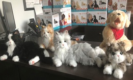 The animatronic dogs and cats respond to their caregivers by barking or purring, wagging their tails and rolling over for belly rubs.